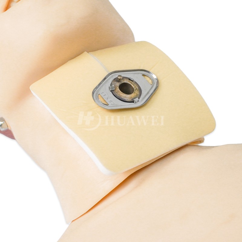 Tracheostomy Dressing Supplier - Wholesale Foam Pad Surface Fixation