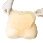 Wound Dressing Manufacturer - High Absorbent Silicone Foam for Pressure Ulcer