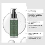 Snail Essence Manufacturer - Glass Skin Moisturizing Repair