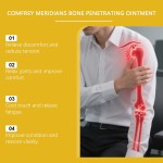 Comfrey Cream Manufacturer - Herbal Massage Joint Relief Cream