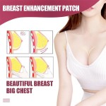 Breast Patch Factory - Herbal Enhancement Enlargement