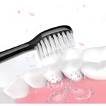 Electric Toothbrush Manufacturer - 5 Speed USB Charging Sonic