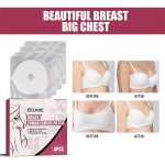 Breast Patch Factory - Herbal Enhancement Enlargement