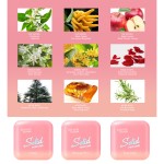 Car Ornament Supplier - OEM Electric Bicycle Decoration