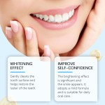 Tooth Powder Factory - Mild Formula 50g Bee Venom