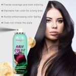 Hair Dye Spray Supplier - Temporary Color Moisturizing