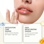 Lip Balm Supplier - Natural Organic Moisturizing