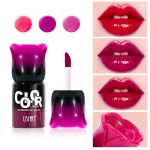 Liquid Lipstick Manufacturer - USHAS Moisturizing Long Lasting Lip Tint