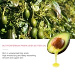 Skin Care Set Factory - Private Label Organic Avocado Rejuvenating