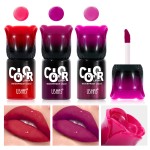 Liquid Lipstick Manufacturer - USHAS Moisturizing Long Lasting Lip Tint