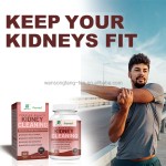 Kidney Cleanse Tablets Factory - Custom Private Label Herbal Vegan