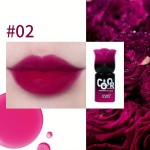 Liquid Lipstick Manufacturer - USHAS Moisturizing Long Lasting Lip Tint
