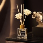 Reed Diffuser Manufacturer - Luxury Home Essential Oil Decoration