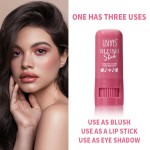 Blush Stick Factory - USHAS Romantic Bird Velvet High Pigmentation
