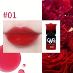 Liquid Lipstick Manufacturer - USHAS Moisturizing Long Lasting Lip Tint