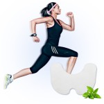 Red Ginseng Supplier - Hot Neck Shoulder