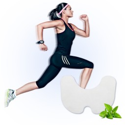 Red Ginseng Supplier - Hot Neck Shoulder