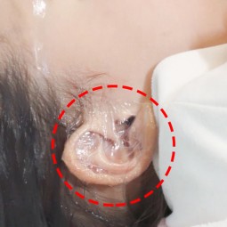 Nail Balm Manufacturer - Vitamin C Hydrogel Repair