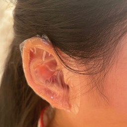 Nail Paste Supplier - Multipurpose Vitamin C