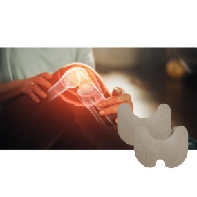 Knee Pain Manufacturer - Natural Wormwood Free