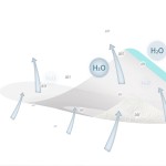 Nail Balm Manufacturer - Vitamin C Hydrogel Repair