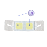 Eye Mask Factory - Self-heating Pain Relief