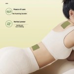 Herbal Pain Patch Manufacturer - Natural Chinese Wormwood Cervical