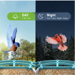 AI Bird Feeder Factory - Solar Wireless Outdoor Night Vision Recording