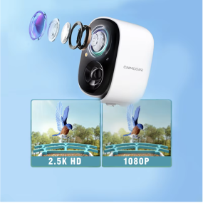 AI Bird Feeder Manufacturer - Factory Wholesale Solar Auto Capture