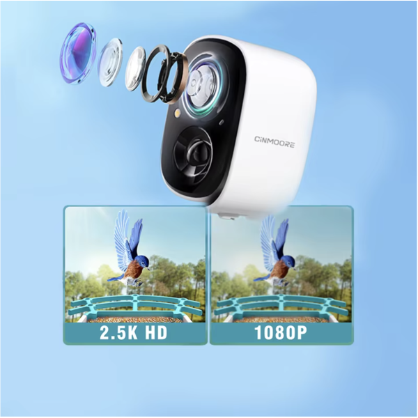 AI Bird Feeder Manufacturer - Factory Wholesale Solar Auto Capture