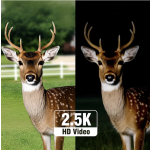 Solar PTZ Camera Manufacturer - 4MP 4G 64G Storage Night Vision