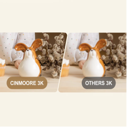 Wireless Indoor Camera Factory - 5GHz 5MP Night Vision Motion Detection