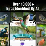 Smart Bird Feeder Factory - 5200mAh Solar AI Night Vision Camera