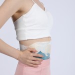 Lumbar Spine Patches Manufacturer - Lightweight Breathable 8-Hour Detox