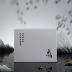 Disposable Warm Knee Manufacturer - Wholesale China Wormwood Sticker