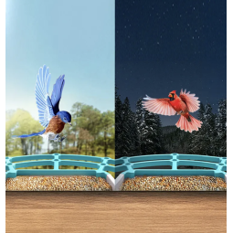 Smart Bird Feeder Factory - Waterproof Automatic Night Vision Cloud