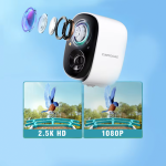 Smart Bird Feeder Manufacturer - AI Solar WiFi Night Vision Video