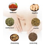 Menstrual Cramps Hot Patch Supplier - Chinese Treatment Hot Gel