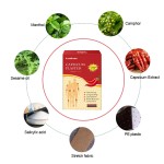 Pain Relief Tiger Patch Factory - 2023 New Chinese Plaster