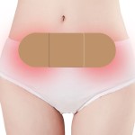 Menstrual Cramp Patch Supplier - Hot Sell Natural Heating Herb Pad