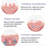 Scar Removal Cream Factory - 2024 New Promote Stratum Corneum Recovery