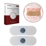 Warm Palace Stickers Manufacturer - Ginger Wormwood Menstrual Gramp Relief