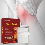 Muscle Ache Plaster Manufacturer - Topical Cervical Shoulder Pain Relief