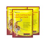 Tiger Capsicum Plaster Factory - Traditional Chinese Herbal Shoulder Neck