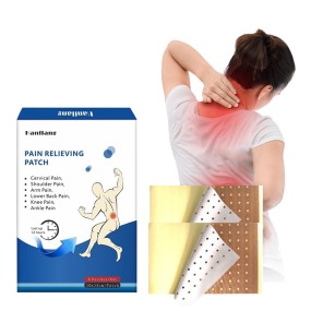 Pain Relief Patch Factory - Latest Factory Price Shoulder Waist Pain