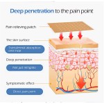 Pain Relief Patch Factory - Latest Factory Price Shoulder Waist Pain