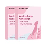 Uterus Warm Patch Manufacturer - Mugwort Palace Cold Regulation Motherwort