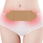 Menstruation Pain Relief Patch Manufacturer - Promote Blood Circulation Warm