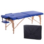Massage Bed Factory - Portable Folding Moxibustion Rehabilitation