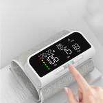 Blood Pressure Monitor Manufacturer - Portable Automatic Digital Upper Arm